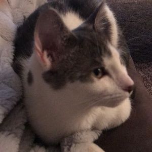 Meet your Posher, Candice